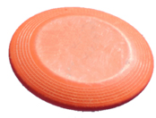 frisbee.jpg
