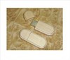 USB-stick hout09