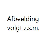 blikken VW kever brandweer