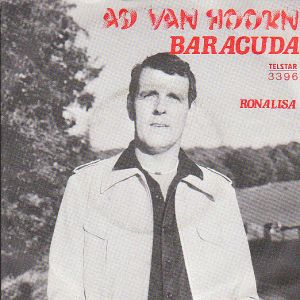 Ad van Hoorn