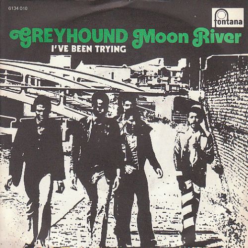 Greyhound