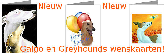 Galgo - Greyhound wenskaarten, nu in de shop