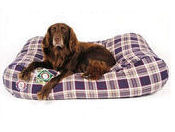 Doggy Bagg