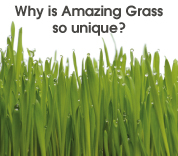 why is Amazing Grass so Unique.jpg