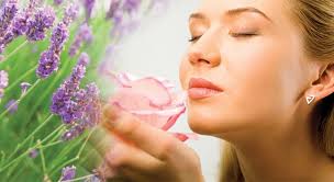 aromatherapie