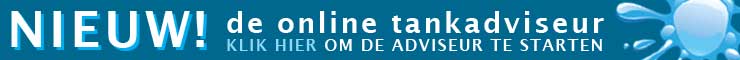 rpOnlineAdviseurBanner.jpg