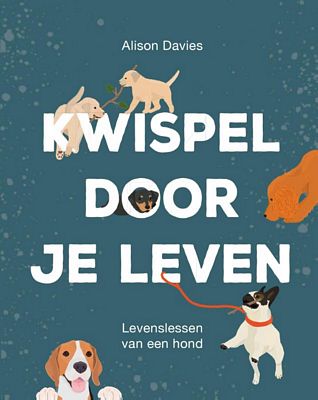 Alison Davies - Kwispel door je leven