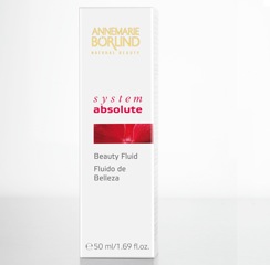 Systeem Absolute