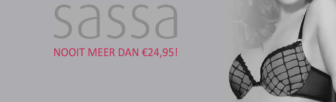 Banner Sassa ZW.jpg
