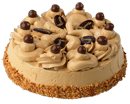 Mokkataart