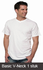http://myshop.s3-external-3.amazonaws.com/shop2307300.pictures.Basic_V-Neck_1.png