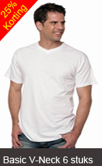 http://myshop.s3-external-3.amazonaws.com/shop2307300.pictures.Basic_V-Neck_6.png