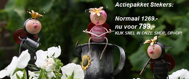 Actiepakket stekers