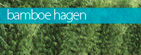 bamboe-hagen-haag-200px.jpg
