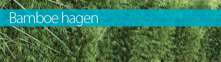 banner_hagen.jpg