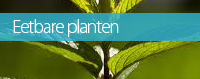 eetbareplantenklein.jpg