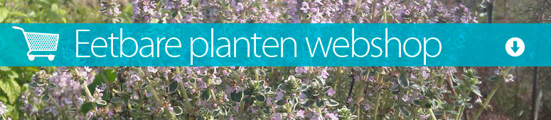 sliders_afdelingen_eetbareplanten.jpg