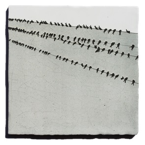 Storytiles Vogelrij*