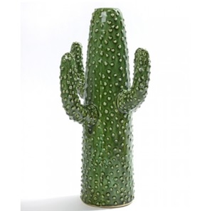 Cactus vaas groot