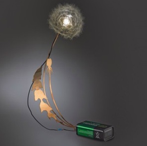 Dandelight 