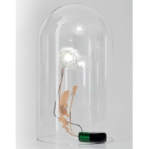 Dandelight met Stolp 