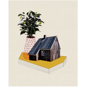 Plant House