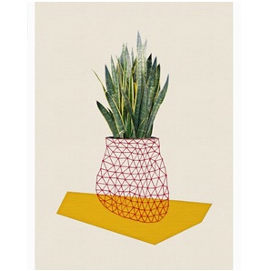 Plant Yellow