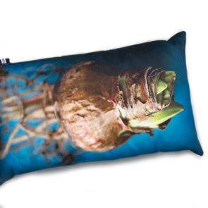 Foto kussen Intens blauw