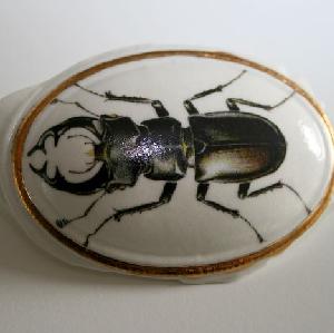 Broche kever