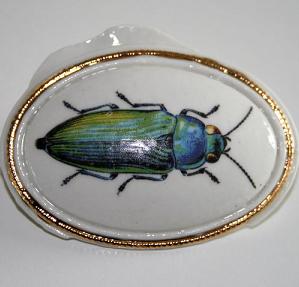 Broche kever