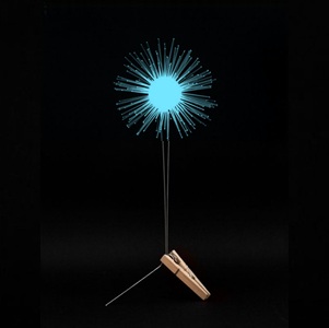 Lichtbloem blauw