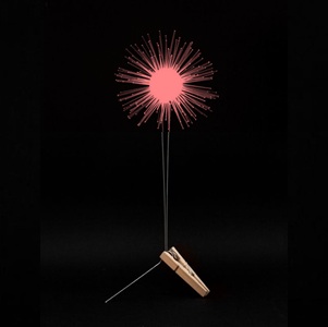 Lichtbloem rood