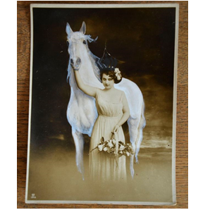Kunstwerk Prinses 2 NIEUW