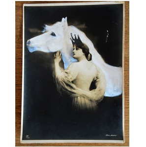 Kunstwerk Prinses 5 NIEUW