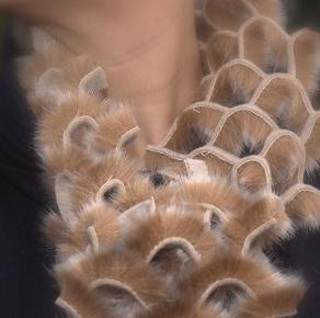 Shawl Furore