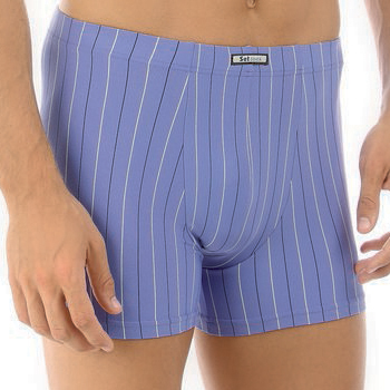 Remy Short Licht Blauw