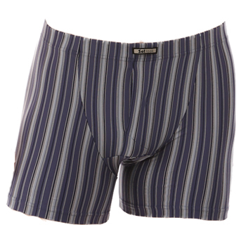 Rogier Short Blauw