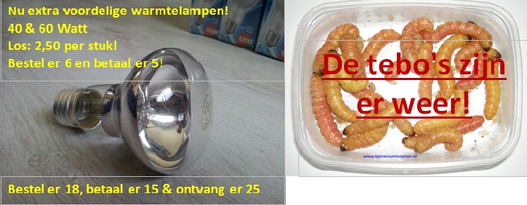 5 -