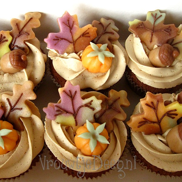 autumn cupcakes natuurlijke kleurstof / natural food colour autumn cupcakes natuurlijke kleurstof /natural food colour