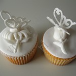 http://myshop.s3-external-3.amazonaws.com/shop3798100.images.vlinderwitwkl.jpg