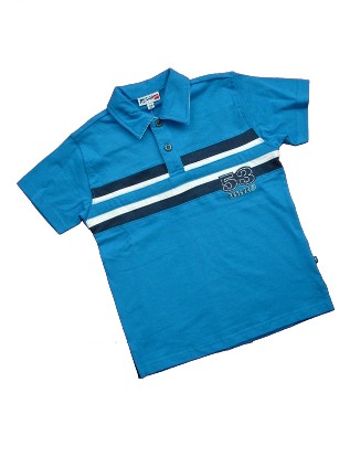 Overzicht Polo's