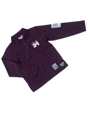 Overzicht Polo's
