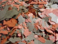 Cichlid flakes