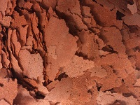 Discus flakes