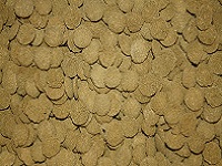 Mini wafers spirulina 6%
