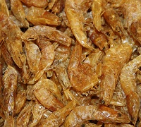 Shrimps