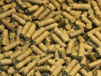 Cichlid Sticks spirulina 6%