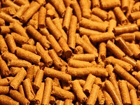 Cichlid sticks colour