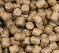 Sturgeon Food