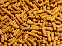 Cichlid sticks